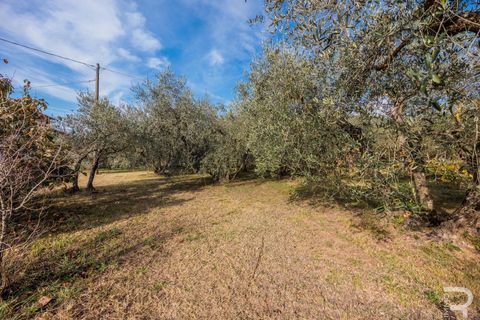 Herregård i Cortona, Arezzo, Cortona - € 560 000 | Ref: R06854CORU - foto 11
