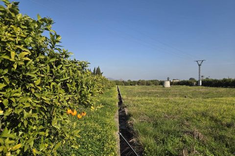 Helårsgrund i Rafelcofer, Valencia, Rafelcofer - € 5.000 | Ref: PNPT293 - foto 3