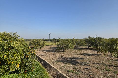 Helårsgrund i Rafelcofer, Valencia, Rafelcofer - € 5.000 | Ref: PNPT293 - foto 4