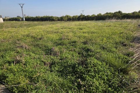 Helårsgrund i Rafelcofer, Valencia, Rafelcofer - € 5.000 | Ref: PNPT293 - foto 2