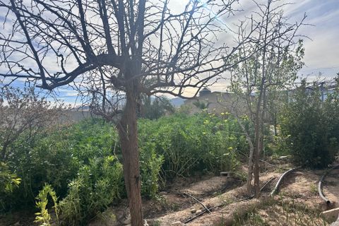 Cortijo i Huercal-Overa, Almeria, Huercal-Overa - € 179.900 | Ref: 2026/19 - foto 11