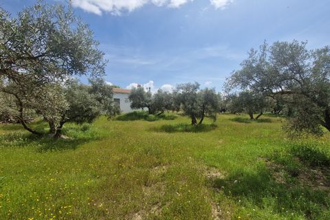 Landejendom i Jayena, Granada, Jayena - € 165.000 | Ref: G190 - foto 9