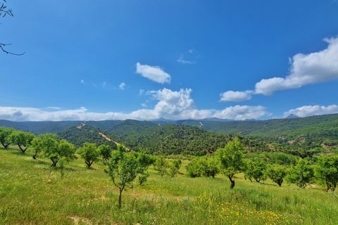 Landejendom i Jayena, Granada, Jayena - € 165.000 | Ref: G190 - foto 5