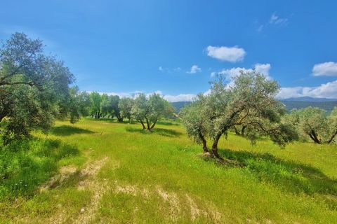 Landejendom i Jayena, Granada, Jayena - € 165.000 | Ref: G190 - foto 3