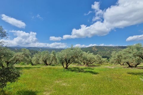 Landejendom i Jayena, Granada, Jayena - € 165.000 | Ref: G190 - foto 7