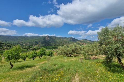 Landejendom i Jayena, Granada, Jayena - € 165.000 | Ref: G190 - foto 6