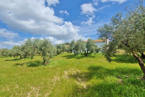 Landejendom i Jayena, Granada, Jayena - € 165.000 | Ref: G190 - foto 4