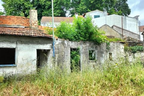 Villa a Nelas, Viseu, Nelas - € 90.000 | Ref: 389260078 - foto 4