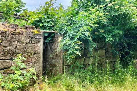 Villa a Nelas, Viseu, Nelas - € 90.000 | Ref: 389260078 - foto 5