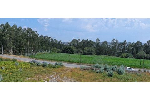 Helårsgrund i Trofa, Porto, Trofa - € 753.000 | Ref: UNU-F4-02-1 - foto 2