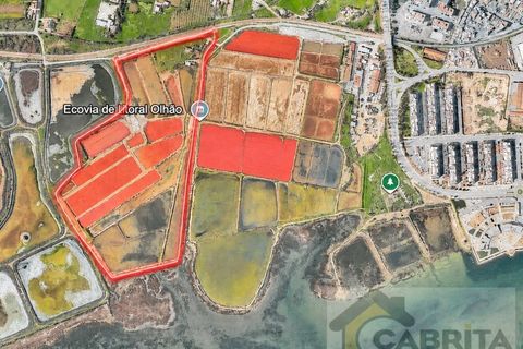 Landejendom i Olhao, Faro, Olhao - € 1.200.000 | Ref: 048 - foto 29