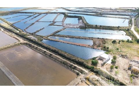 Landejendom i Olhao, Faro, Olhao - € 1.200.000 | Ref: 048 - foto 17