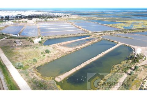 Landejendom i Olhao, Faro, Olhao - € 1.200.000 | Ref: 048 - foto 21