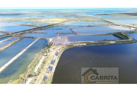 Landejendom i Olhao, Faro, Olhao - € 1.200.000 | Ref: 048 - foto 24