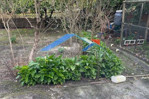 Villa i Coruche, Santarem, Coruche - € 250.000 | Ref: 485Branca - foto 14