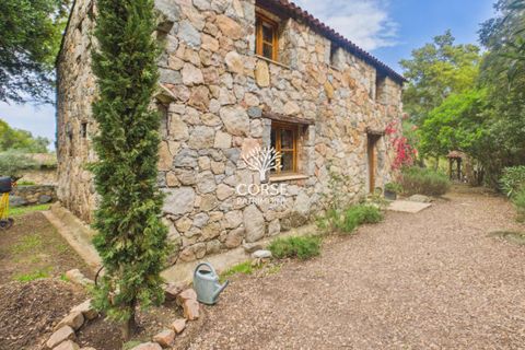 Villa i Sotta, Corse-du-Sud, Sotta - € 1 133 000 | Ref: M3020 - foto 18