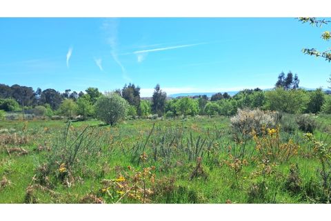 Tomt i Abraveses, Viseu, Abraveses - € 395 000 | Ref: SÒL_2359 - foto 6