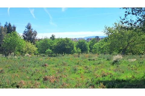 Tomt i Abraveses, Viseu, Abraveses - € 395 000 | Ref: SÒL_2359 - foto 9