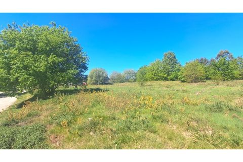 Tomt i Abraveses, Viseu, Abraveses - € 395 000 | Ref: SÒL_2359 - foto 13