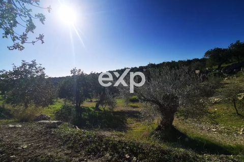 Helårsgrund i Rosolini, Siracusa, Rosolini - € 190.000 | Ref: exp-011764 - foto 1