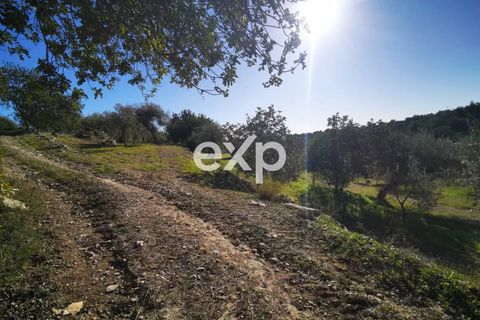 Helårsgrund i Rosolini, Siracusa, Rosolini - € 190.000 | Ref: exp-011764 - foto 2