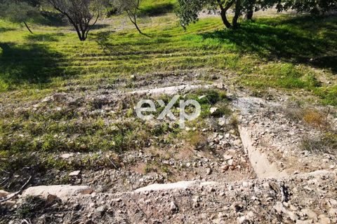 Helårsgrund i Rosolini, Siracusa, Rosolini - € 190.000 | Ref: exp-011764 - foto 3