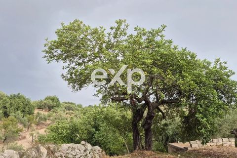 Helårsgrund i Rosolini, Siracusa, Rosolini - € 190.000 | Ref: exp-011764 - foto 4