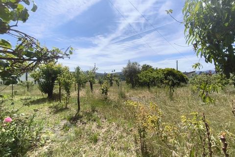 Helårsgrund i Barcelos, Braga, Barcelos - € 200.000 | Ref: 114/26 - foto 4