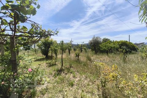 Helårsgrund i Barcelos, Braga, Barcelos - € 200.000 | Ref: 114/26 - foto 5
