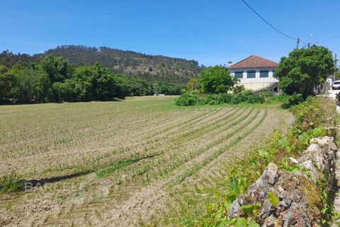 Villa i Barcelos, Braga, Barcelos - € 430.000 | Ref: 174/25 (2) - foto 2