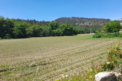 Villa i Barcelos, Braga, Barcelos - € 430.000 | Ref: 174/25 (2) - foto 3