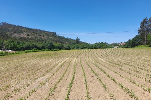 Villa i Barcelos, Braga, Barcelos - € 430.000 | Ref: 174/25 (2) - foto 5