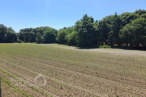 Villa i Barcelos, Braga, Barcelos - € 430.000 | Ref: 174/25 (2) - foto 6
