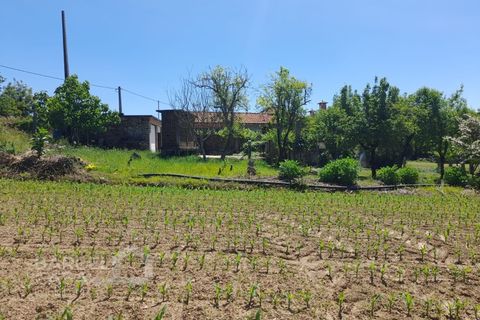 Villa i Barcelos, Braga, Barcelos - € 430.000 | Ref: 174/25 (2) - foto 10