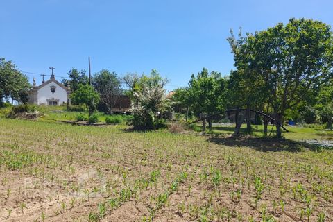 Villa i Barcelos, Braga, Barcelos - € 430.000 | Ref: 174/25 (2) - foto 11