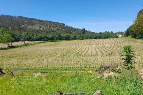 Helårsgrund i Barcelos, Braga, Barcelos - € 430.000 | Ref: 174/25 - foto 3