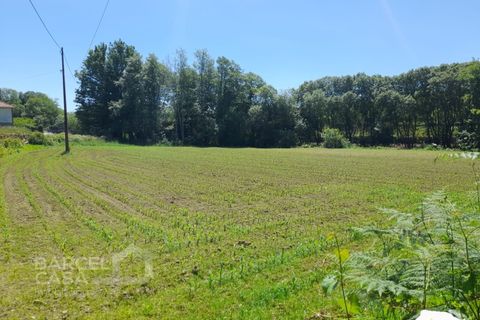 Helårsgrund i Barcelos, Braga, Barcelos - € 430.000 | Ref: 174/25 - foto 6