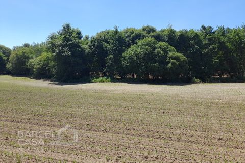 Helårsgrund i Barcelos, Braga, Barcelos - € 430.000 | Ref: 174/25 - foto 7