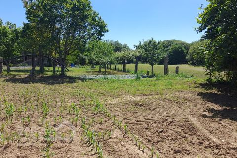 Helårsgrund i Barcelos, Braga, Barcelos - € 430.000 | Ref: 174/25 - foto 8