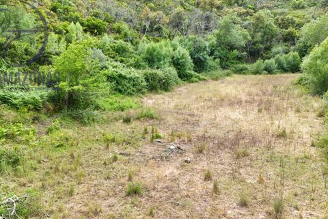 Helårsgrund i Silves, Faro, Silves - € 10.000 | Ref: 07-500-1 - foto 1