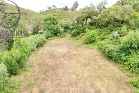Helårsgrund i Silves, Faro, Silves - € 10.000 | Ref: 07-500-1 - foto 2