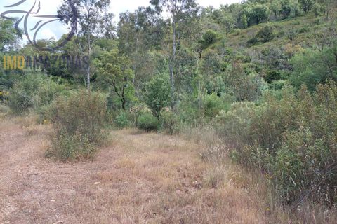 Helårsgrund i Silves, Faro, Silves - € 10.000 | Ref: 07-500-1 - foto 6