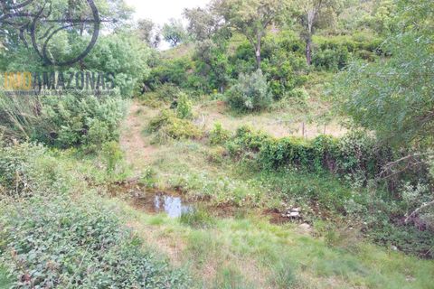 Helårsgrund i Silves, Faro, Silves - € 10.000 | Ref: 07-500-1 - foto 7