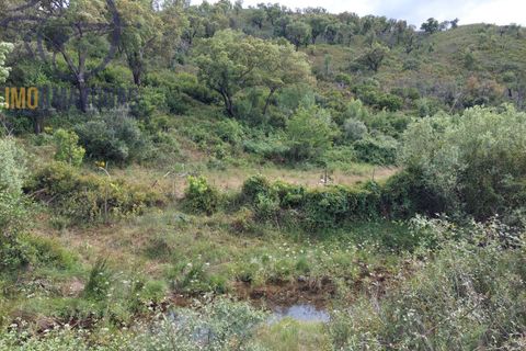 Helårsgrund i Silves, Faro, Silves - € 10.000 | Ref: 07-500-1 - foto 8
