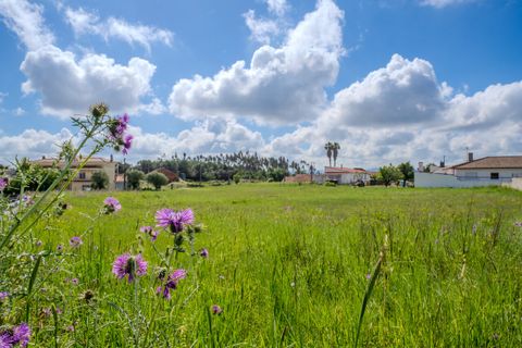 Helårsgrund i Leiria, Leiria, Leiria - € 150.000 | Ref: SF-SAFTI:008230 - foto 1
