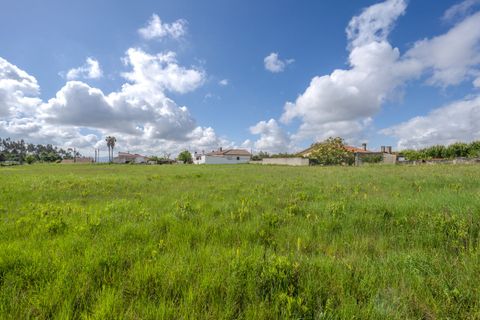 Helårsgrund i Leiria, Leiria, Leiria - € 150.000 | Ref: SF-SAFTI:008230 - foto 2