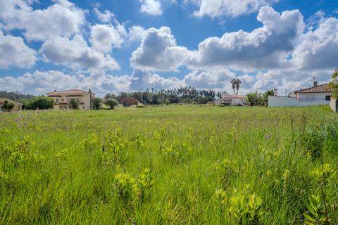 Helårsgrund i Leiria, Leiria, Leiria - € 150.000 | Ref: SF-SAFTI:008230 - foto 4