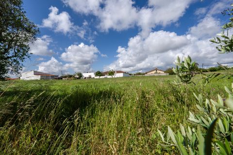 Helårsgrund i Leiria, Leiria, Leiria - € 150.000 | Ref: SF-SAFTI:008230 - foto 6