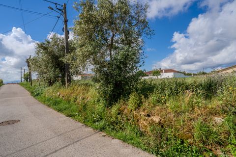 Helårsgrund i Leiria, Leiria, Leiria - € 150.000 | Ref: SF-SAFTI:008230 - foto 7
