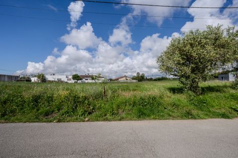 Helårsgrund i Leiria, Leiria, Leiria - € 150.000 | Ref: SF-SAFTI:008230 - foto 9